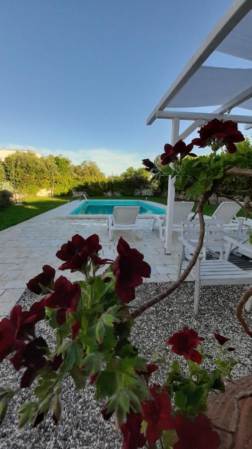 Antonelli B&B Masseria Sant'Angelo מראה חיצוני תמונה