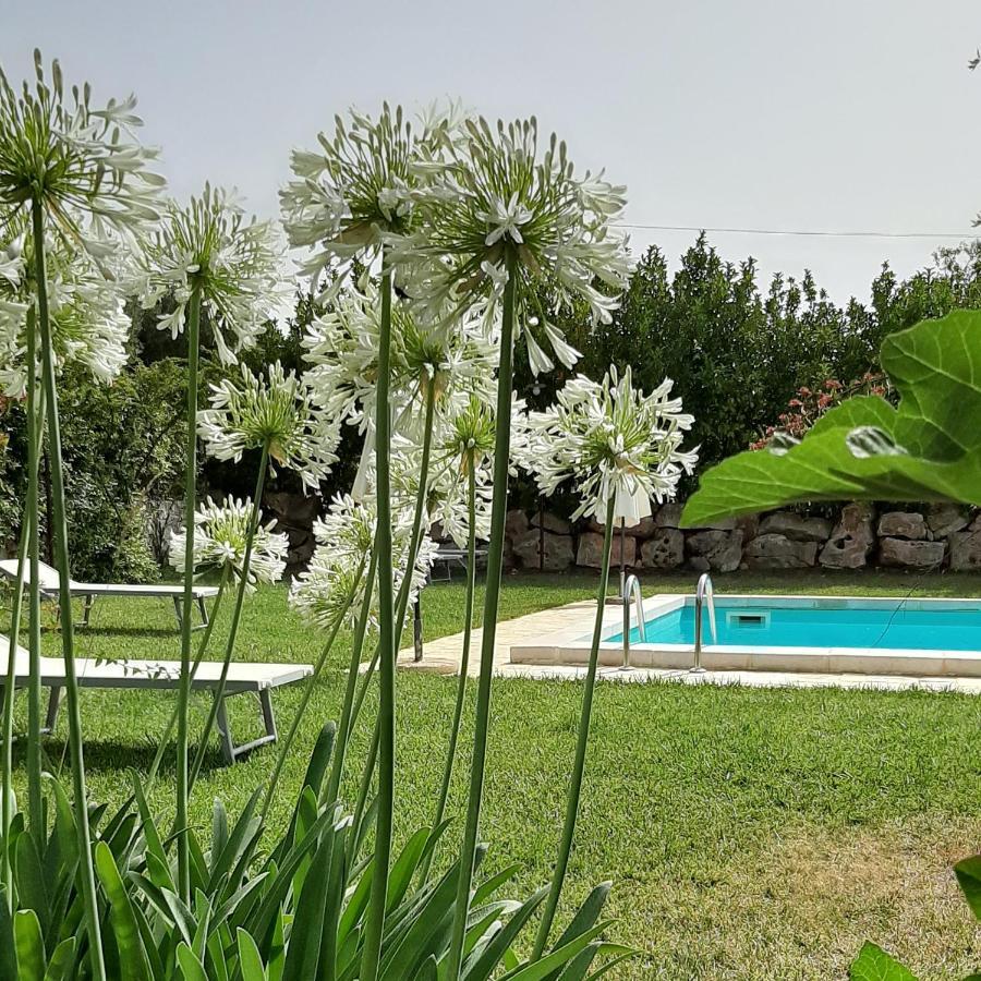 Antonelli B&B Masseria Sant'Angelo מראה חיצוני תמונה