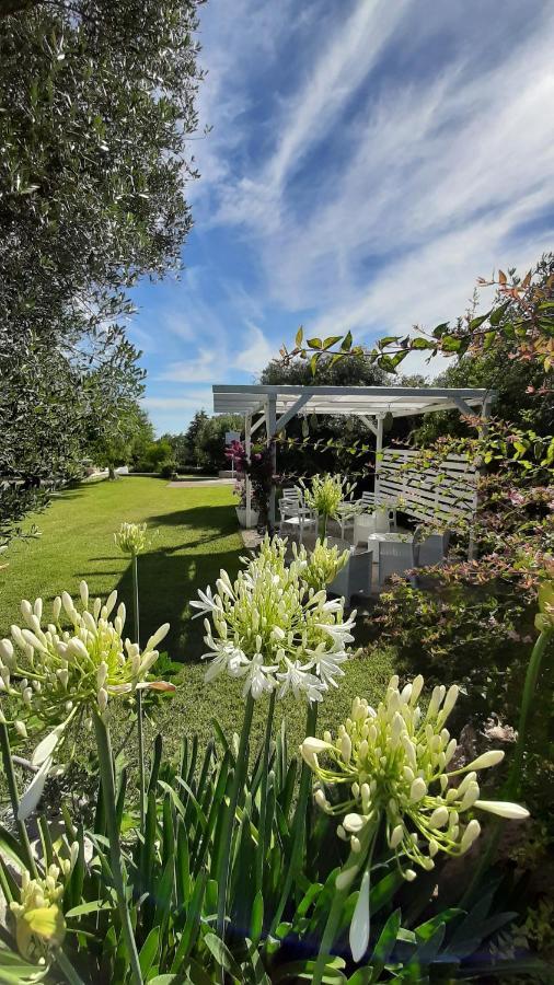 Antonelli B&B Masseria Sant'Angelo מראה חיצוני תמונה
